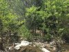 87DD805C-D5BB-4C70-956D-1B5E0E8DA848.jpeg