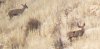 20191029_101435.jpg