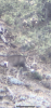 19E17A75-848E-4567-BD8D-8D486FF102F2.png