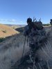 IMG_0527.JPEG