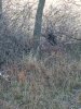 20191102_082649.jpg
