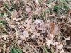 20191105_072818.jpg