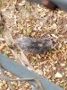 20191106_151814.jpg