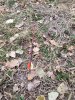 20191106_165640.jpg