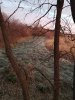 20191108_065359.jpg