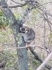 20191108_070516.jpg