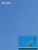geese.png