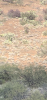 ADF67D55-E594-40D4-855F-A5BBA5BC6C75.png