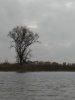 1204191048.jpg