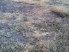 1204191609.jpg