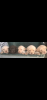598E0FA7-F709-41D8-91C1-7CA96D57A40E.png