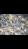F89D54DA-B265-4806-B0B4-DB2086500BB1.png
