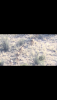 475470A7-52AA-4BF5-9BBC-8A1B0D4E5D47.png