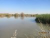 IMG_0130.JPG
