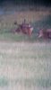 20160810_062327.jpg