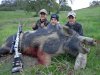 easter_hog_2013_004.jpg