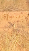 IMG_0009.PNG