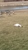 IMG_20200103_135615.jpg