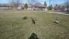 IMG_20200103_135309.jpg