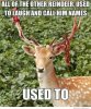 all-the-other-reindeer-used-to-call-him-names.jpg