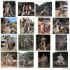 coyotes_zpsfde60e3c.JPG