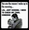 trail cams.jpg