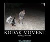 That-Dog-Just-Ruined-It-Funny-Hunting-Meme-Image.jpg