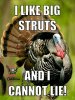 TURKEY I LIKE BIG STRUTS.jpg