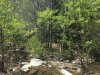 C814000B-F148-481D-A74A-8F2EACE4CEB0.jpeg