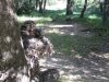 robert yak turkey hunt 2011 025.JPG
