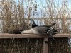 70FFC8B3-800D-444B-83D3-799712696CBE.jpeg