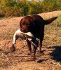 Remi on a bull.jpg