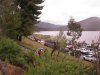 turkey tune-up  2011 005.old.JPG
