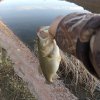 IMG_20200221_193141_247.jpg