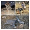 DEER Collage 2015_2016_2017.jpg