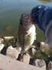 IMG_20200306_100819.jpg