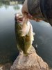IMG_20200329_090621.jpg