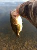 IMG_20200329_082055.jpg