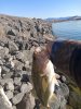 IMG_20200328_094152.jpg