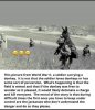 Donkey.jpg