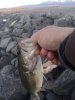 IMG_20200403_071903.jpg