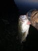 IMG_20200411_062817.jpg