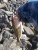 IMG_20200411_083308.jpg