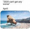 covid meme.jpg