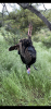 13A85BD4-CF86-41F1-91C0-57184577BC8A.png