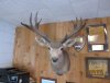nwtf & desert 6-9-13 024.JPG