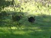 DSC00857.JPG