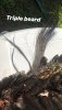 278AE046-DA22-4FF0-AB50-05D4F9E13095.jpeg