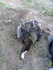 IMG_20200504_065916.jpg