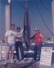 marlin_zps84656ab7.JPG